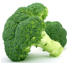 Fresh Bunch of Broccoli
